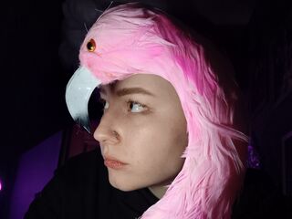 free webcam chat AlexJackson